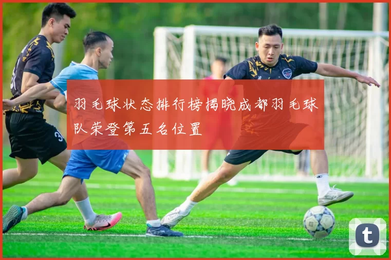羽毛球状态排行榜揭晓成都羽毛球队荣登第五名位置