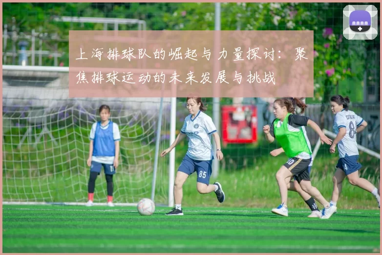 上海排球队的崛起与力量探讨：聚焦排球运动的未来发展与挑战