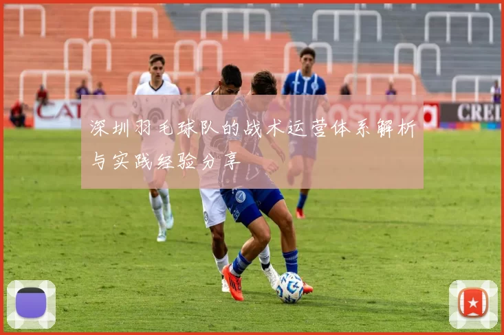 深圳羽毛球队的战术运营体系解析与实践经验分享