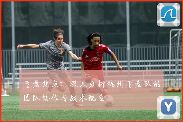 飞盘焦点：深入分析杭州飞盘队的团队协作与战术配合