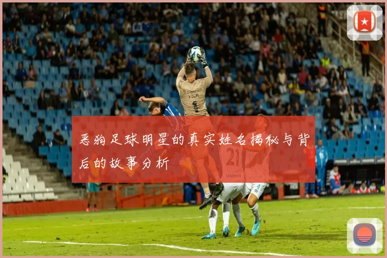 恶狗足球明星的真实姓名揭秘与背后的故事分析