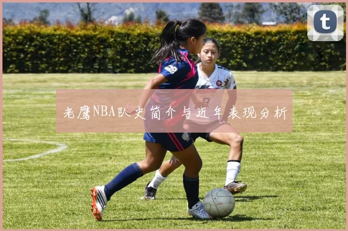 老鹰NBA队史简介与近年表现分析