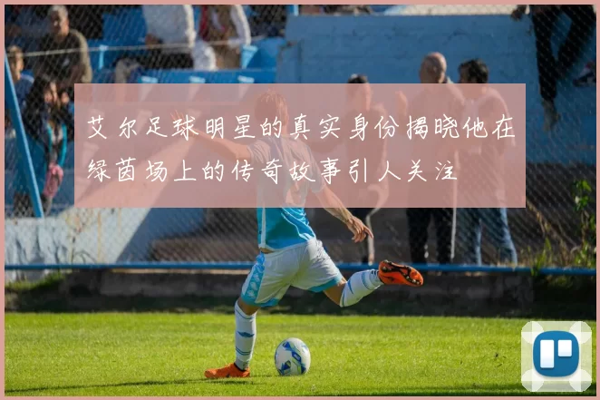 艾尔足球明星的真实身份揭晓他在绿茵场上的传奇故事引人关注