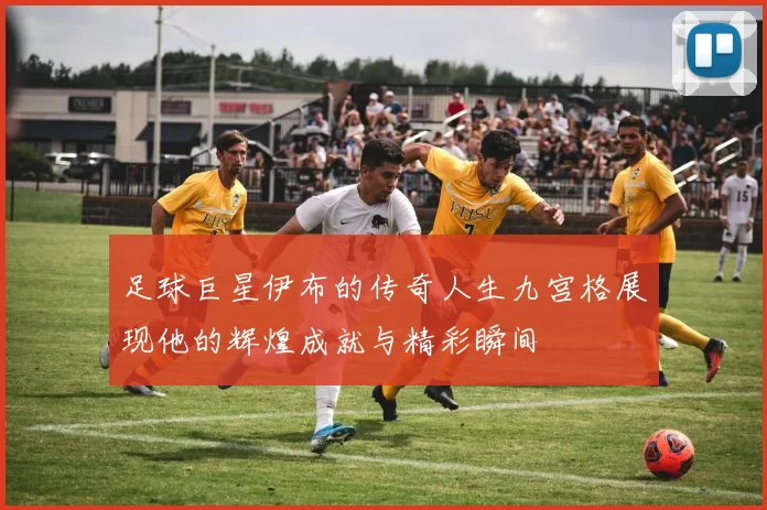 足球巨星伊布的传奇人生九宫格展现他的辉煌成就与精彩瞬间