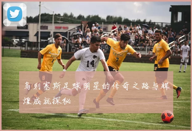 乌利塞斯足球明星的传奇之路与辉煌成就探秘