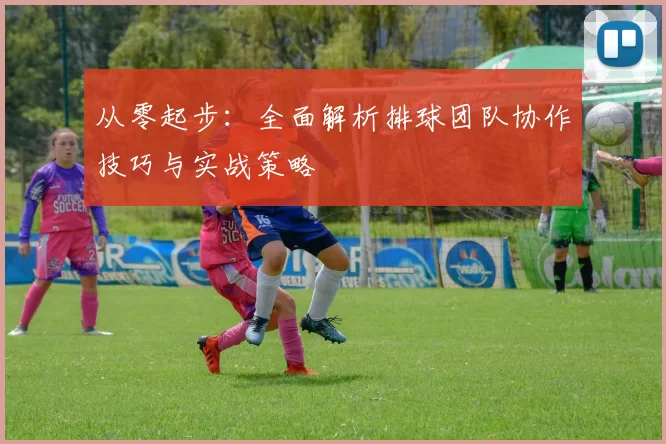 从零起步：全面解析排球团队协作技巧与实战策略