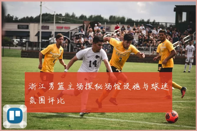 浙江男篮主场探秘场馆设施与球迷氛围评比