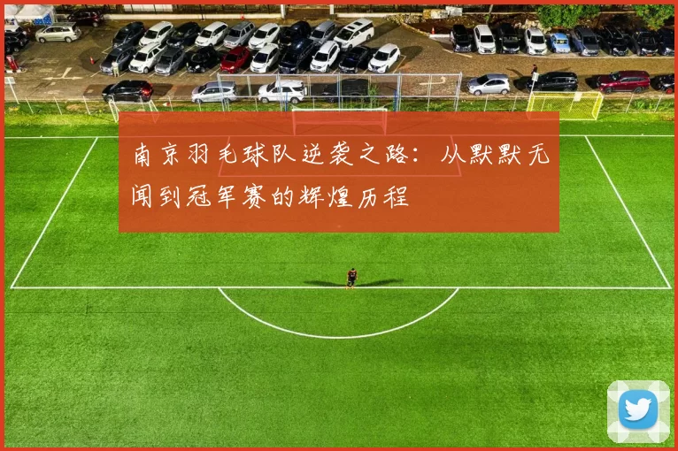 南京羽毛球队逆袭之路：从默默无闻到冠军赛的辉煌历程