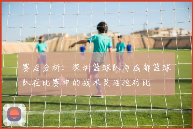 赛后分析：深圳篮球队与成都篮球队在比赛中的战术灵活性对比