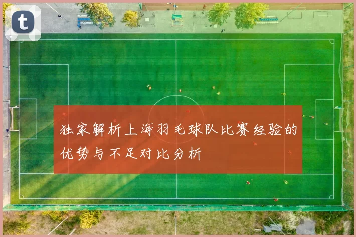 独家解析上海羽毛球队比赛经验的优势与不足对比分析