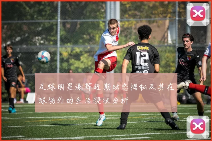 足球明星谢晖近期动态揭秘及其在球场外的生活现状分析