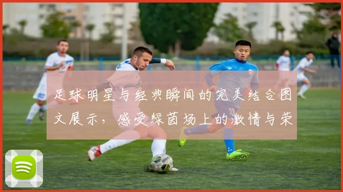 足球明星与经典瞬间的完美结合图文展示，感受绿茵场上的激情与荣耀
