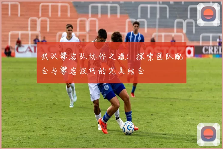 武汉攀岩队协作之道：探索团队配合与攀岩技巧的完美结合