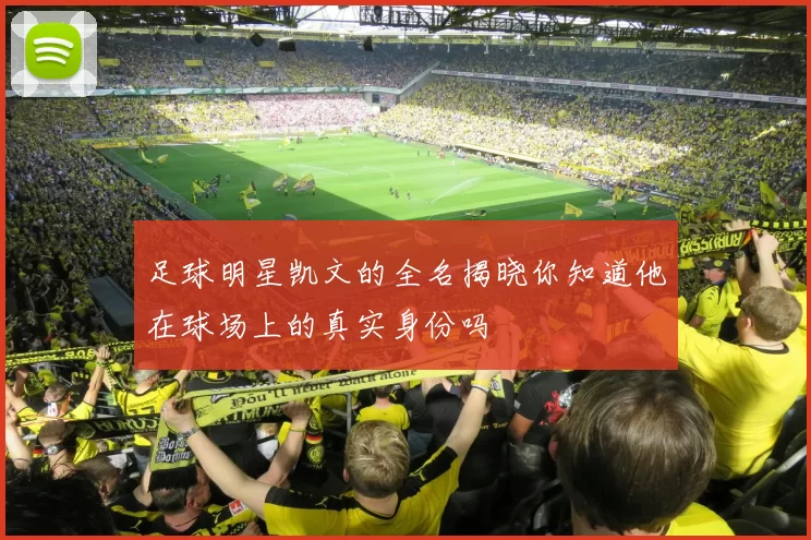 足球明星凯文的全名揭晓你知道他在球场上的真实身份吗