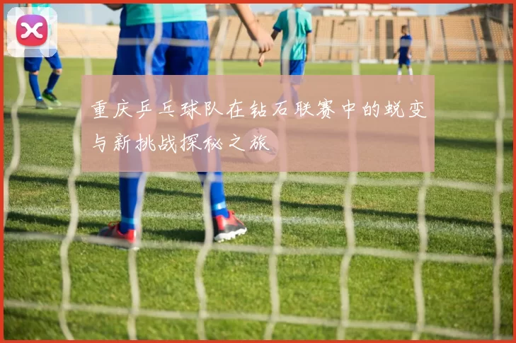 重庆乒乓球队在钻石联赛中的蜕变与新挑战探秘之旅