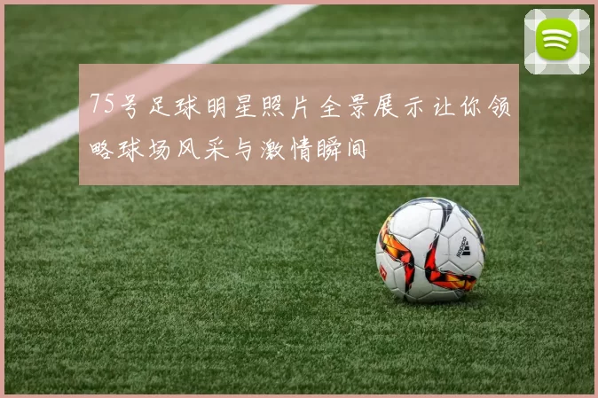 75号足球明星照片全景展示让你领略球场风采与激情瞬间