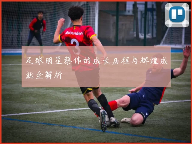 足球明星蔡伟的成长历程与辉煌成就全解析