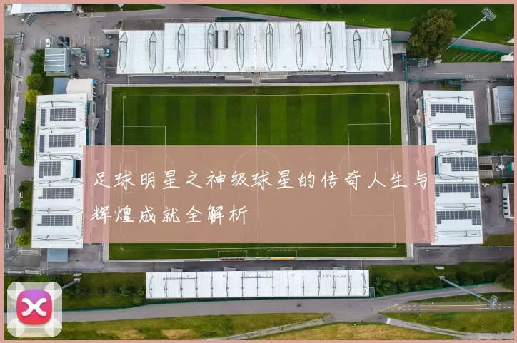 足球明星之神级球星的传奇人生与辉煌成就全解析