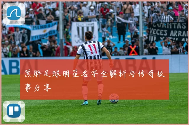 黑胖足球明星名字全解析与传奇故事分享