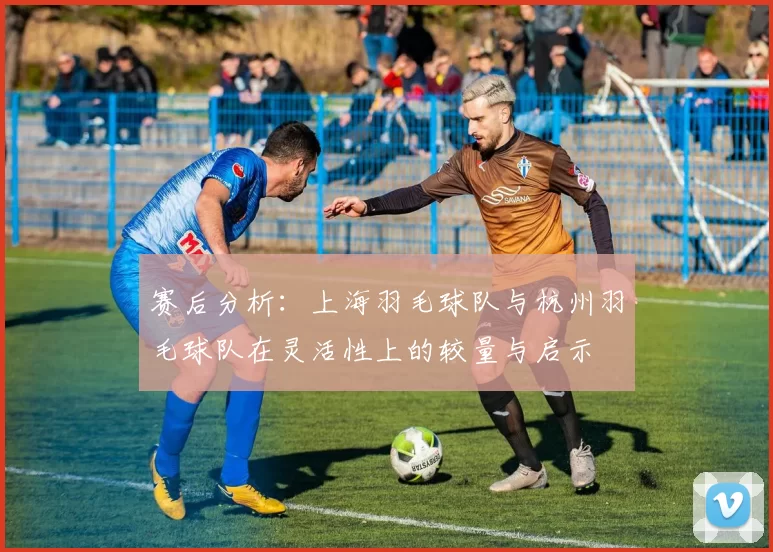 赛后分析：上海羽毛球队与杭州羽毛球队在灵活性上的较量与启示