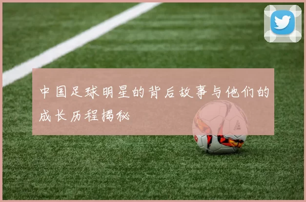 中国足球明星的背后故事与他们的成长历程揭秘