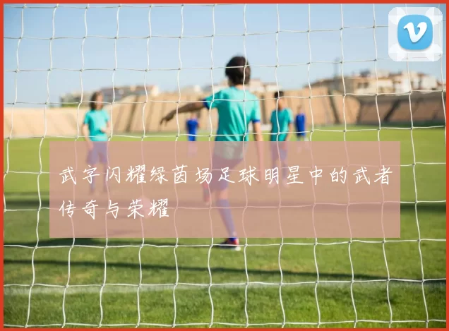 武字闪耀绿茵场足球明星中的武者传奇与荣耀